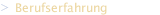 Berufserfahrung